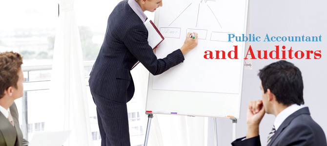Public Accountant and Auditors